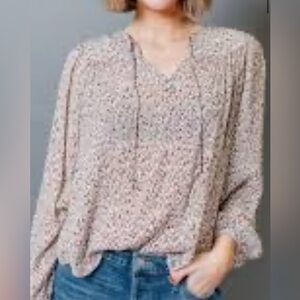 Tommy Hilfiger Cream and Brown Blouse